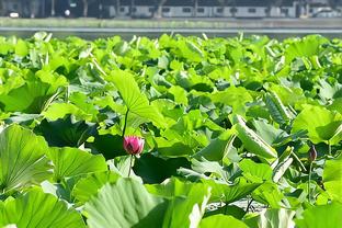 末节被雪藏！申京10投仅2中拿到9分10板 正负值-10全队最低