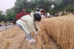 深足球员去向：郑达伦正与泰山接触 杨博宇有望加盟青岛西海岸